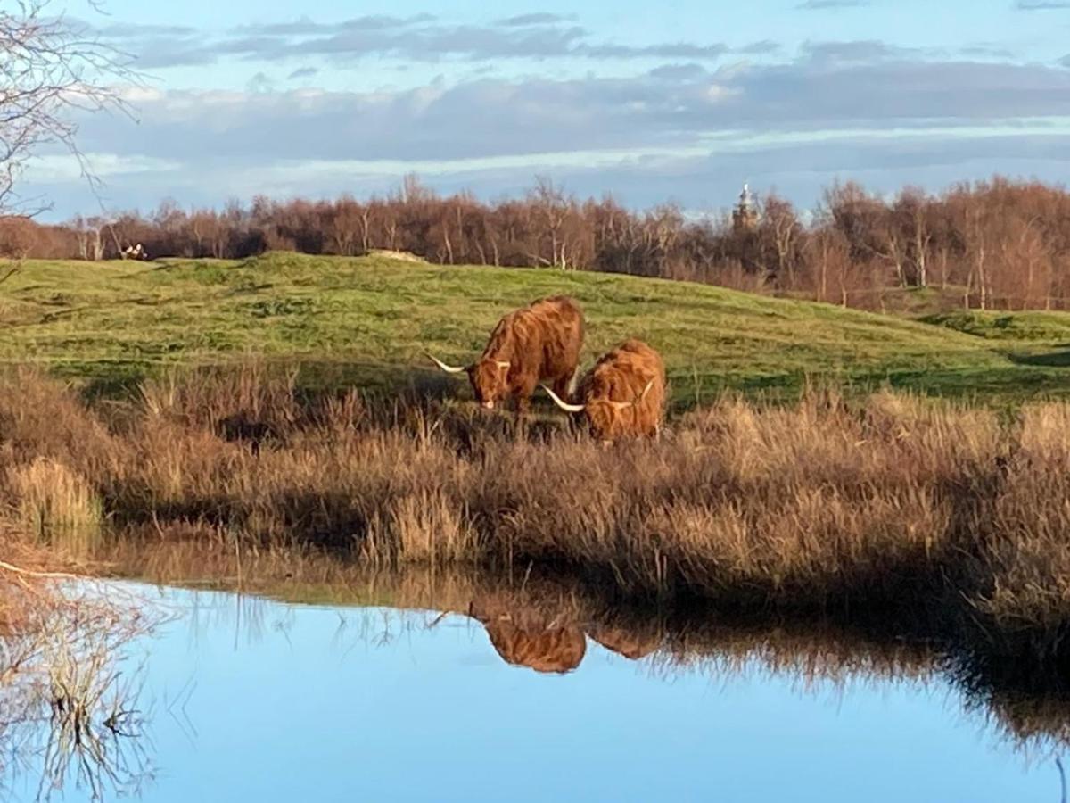 'T Schouws Uusje Villa Burgh-Haamstede Bagian luar foto