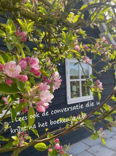 'T Schouws Uusje Villa Burgh-Haamstede Bagian luar foto